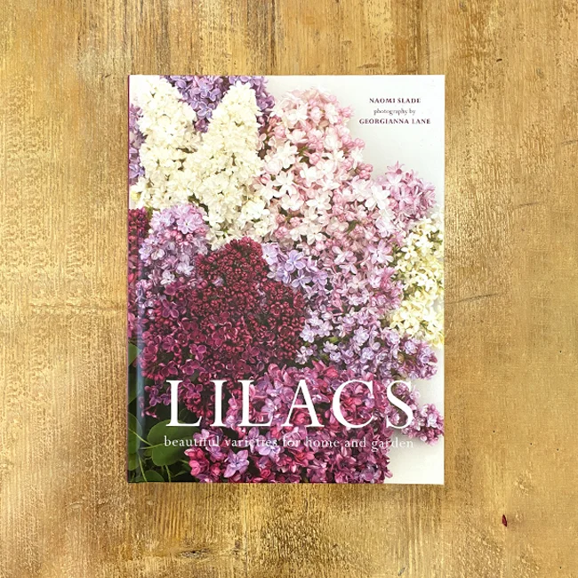 lilacs book