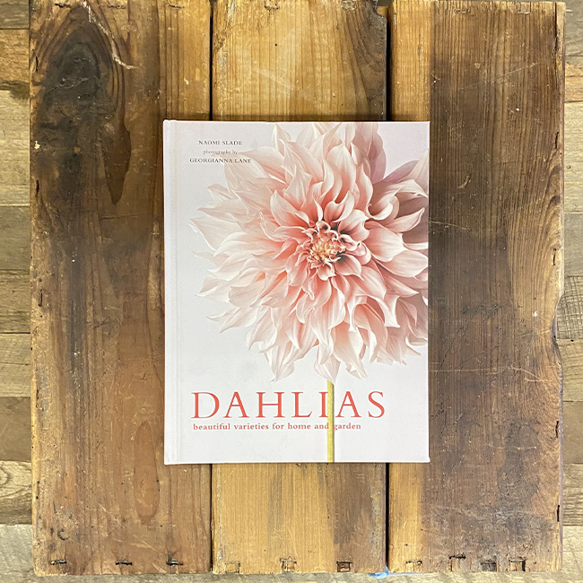 Dahlias Book Front Page