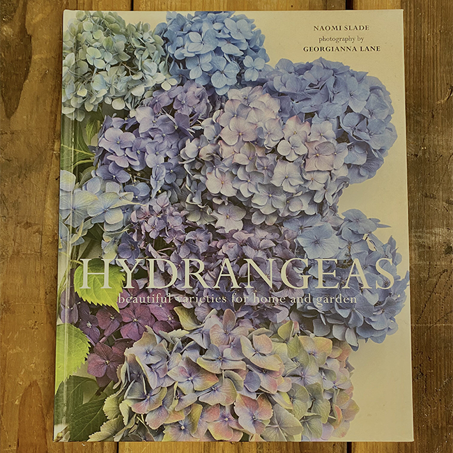 Hydrangeas Book Front Page